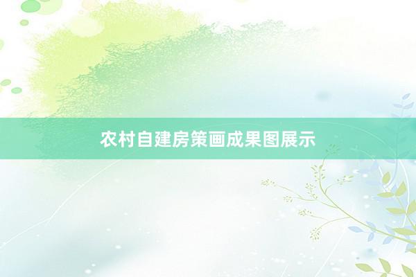 农村自建房策画成果图展示