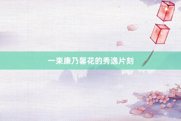 一束康乃馨花的秀逸片刻