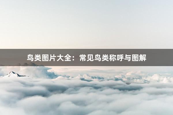 鸟类图片大全：常见鸟类称呼与图解
