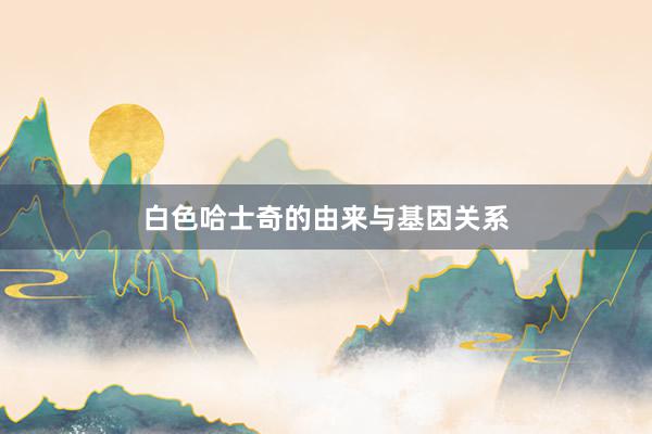 白色哈士奇的由来与基因关系